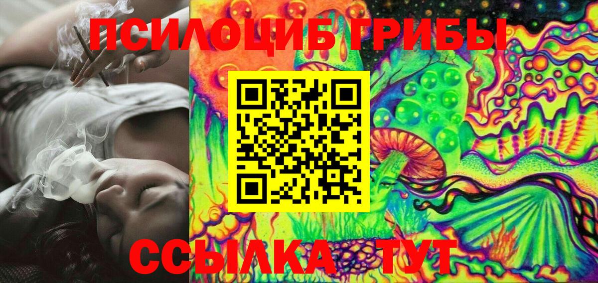 Галлюциногенные грибы Cubensis Нижний Новгород